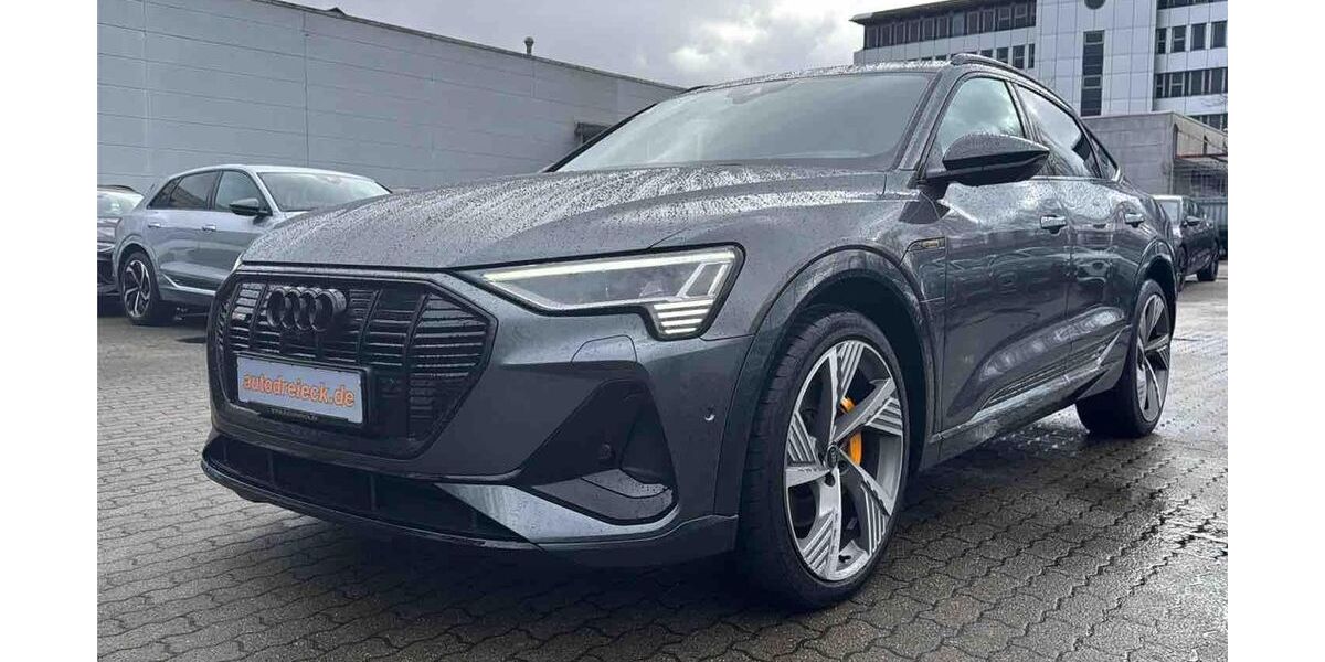 Audi e-tron 55.621 km 37.950 &euro; Hamburg 22047