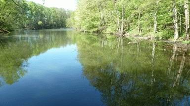 Haus 60m2 generalsaniert mit eigenem See 2 zimmer