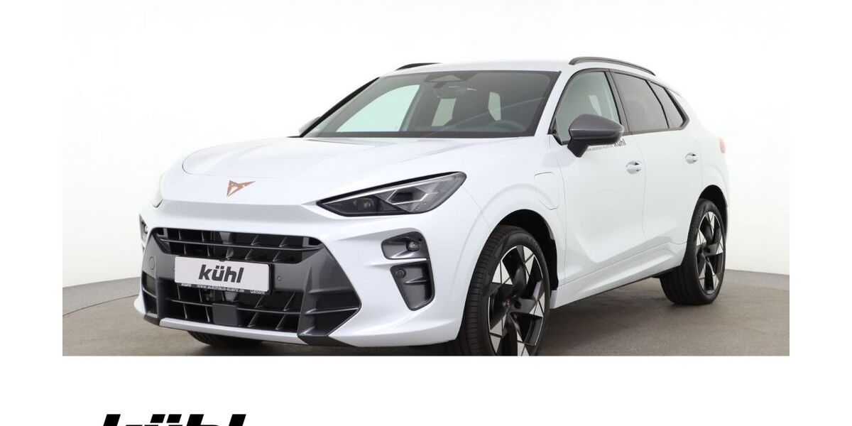 Cupra Terramar 4.600 km 44.480 &euro; Gifhorn 38518