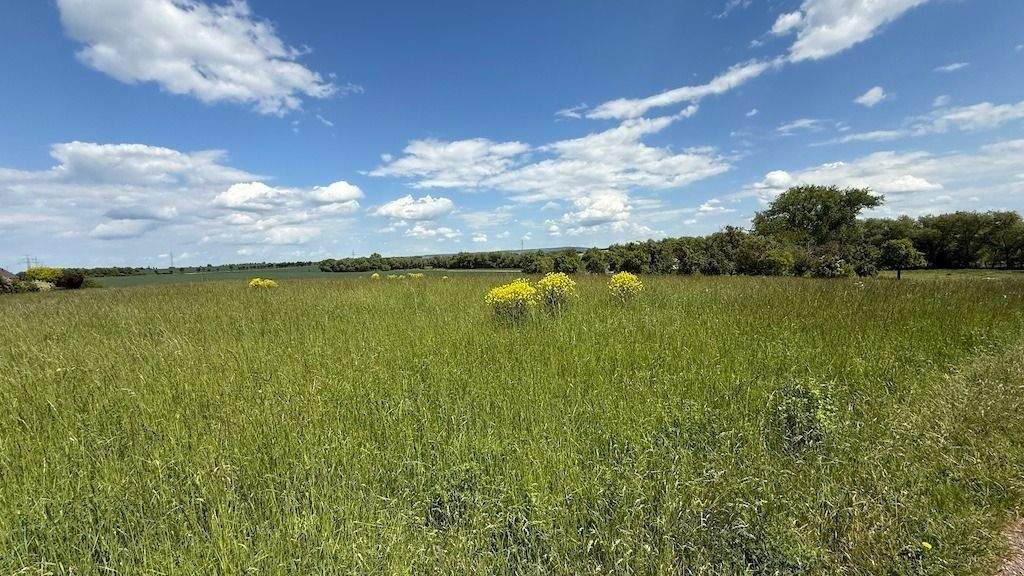 Grundstück Arnstadt Marlishausen - 143.520&euro; | Angebot:25667348