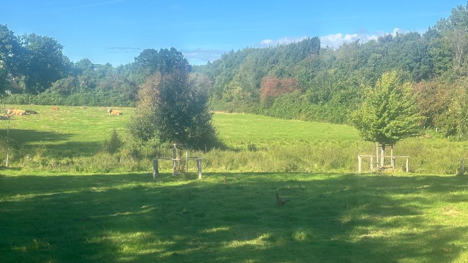 Einfamilienhaus Kiel Meimersdorf - 6 Zimmer, 169 m&sup2;, 749.000&euro; | Angebot:25392909