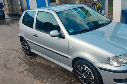 VW Polo