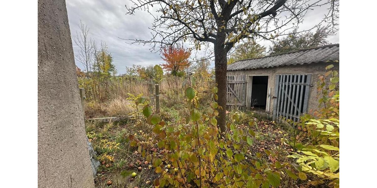 Einfamilienhaus Oschatz - 30.000&euro; | Angebot:26712175