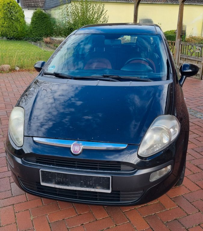 Punto Evo