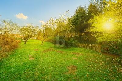 VERWIRKLICHEN SIE IHREN TRAUM VOM EIGENEN HAUS - Grundstück Merkers-Kieselbach Kieselbach | Angebot:26035389