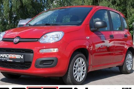 Fiat Panda 10.809 km 15.490 &euro; Herten 45701