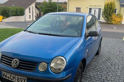 VW Polo 232.614 km 900 € Nentershausen 56412