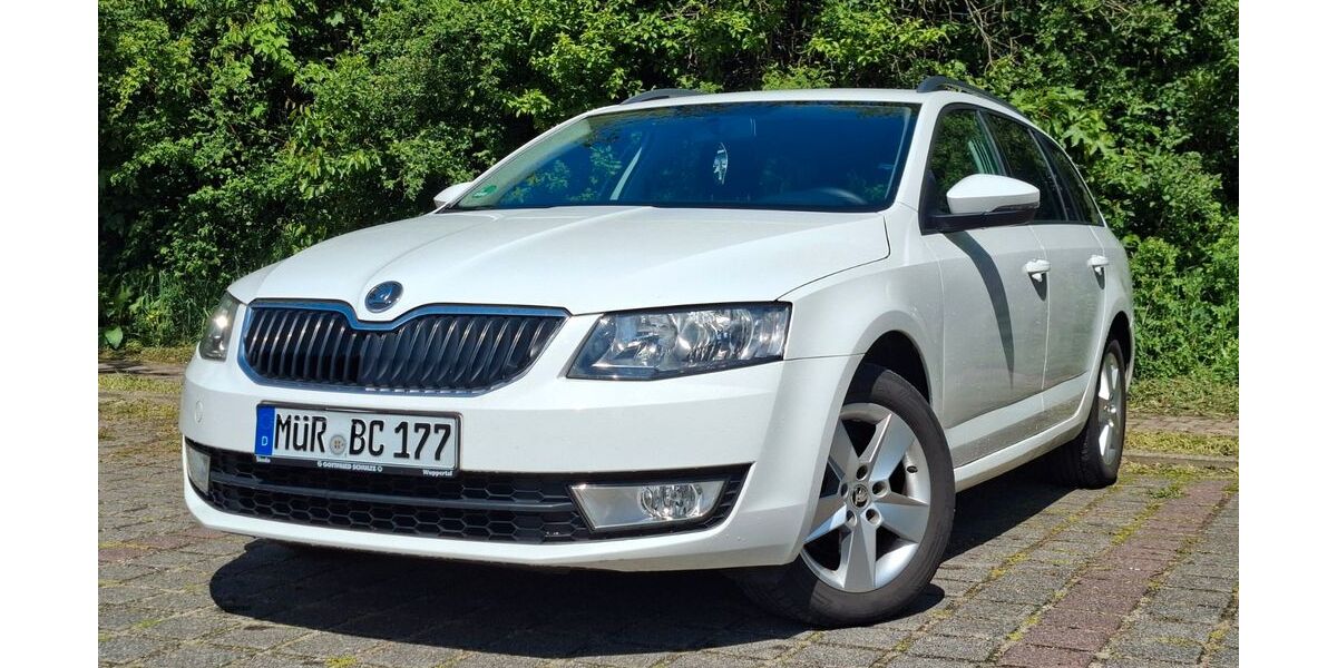 Skoda Octavia 167.577 km 7.950 &euro; Malchow 17213