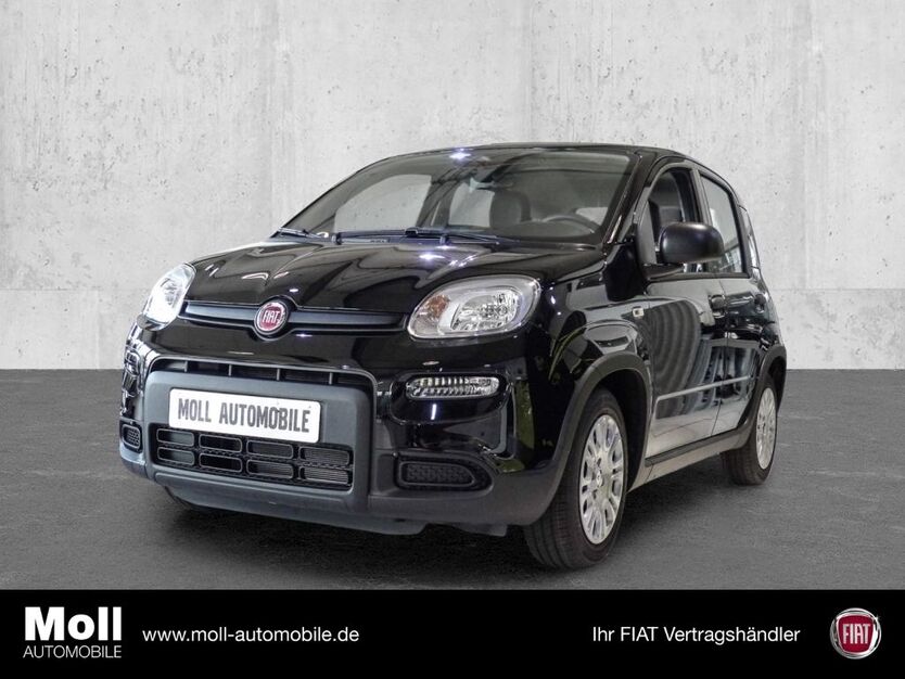 Fiat Panda 4.500 km 14.450 € Euskirchen 53879