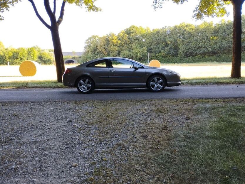407