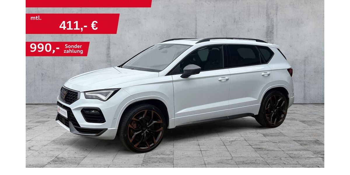 Cupra Ateca 49.993 km 28.990 &euro; Hof 95030