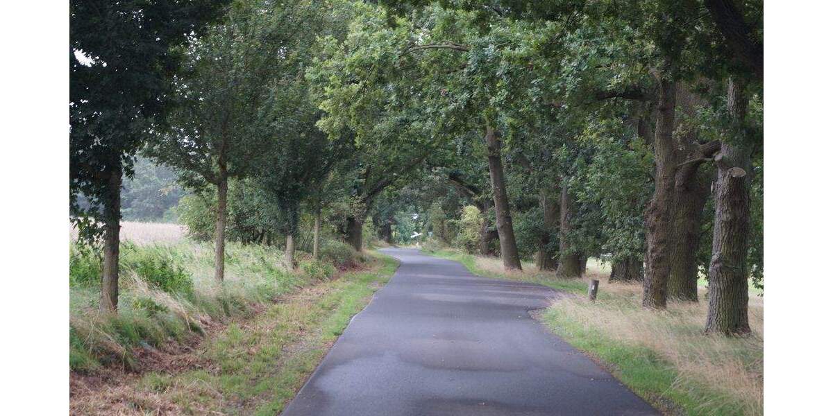 Grundstück Mittenwalde / OT Schenkendorf-Krummensee Krummensee - 799.000&euro; | Angebot:25663576