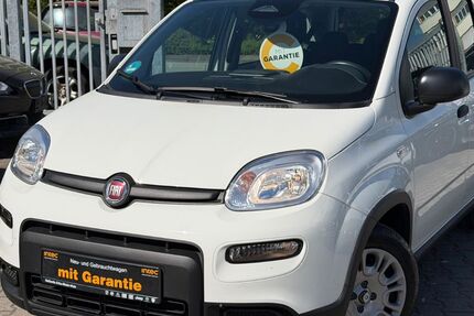 Fiat Panda 6.600 km 11.999 &euro; Kelkheim 65779