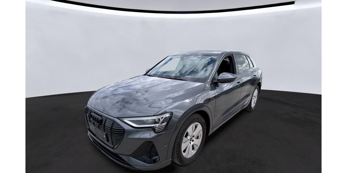 Audi e-tron 61.217 km 40.550 &euro; Hagen 58091