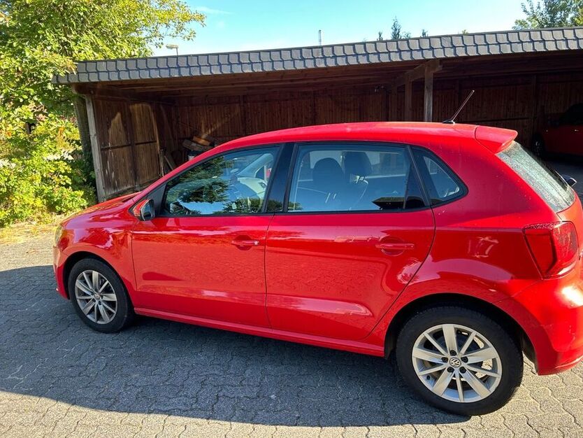 Polo