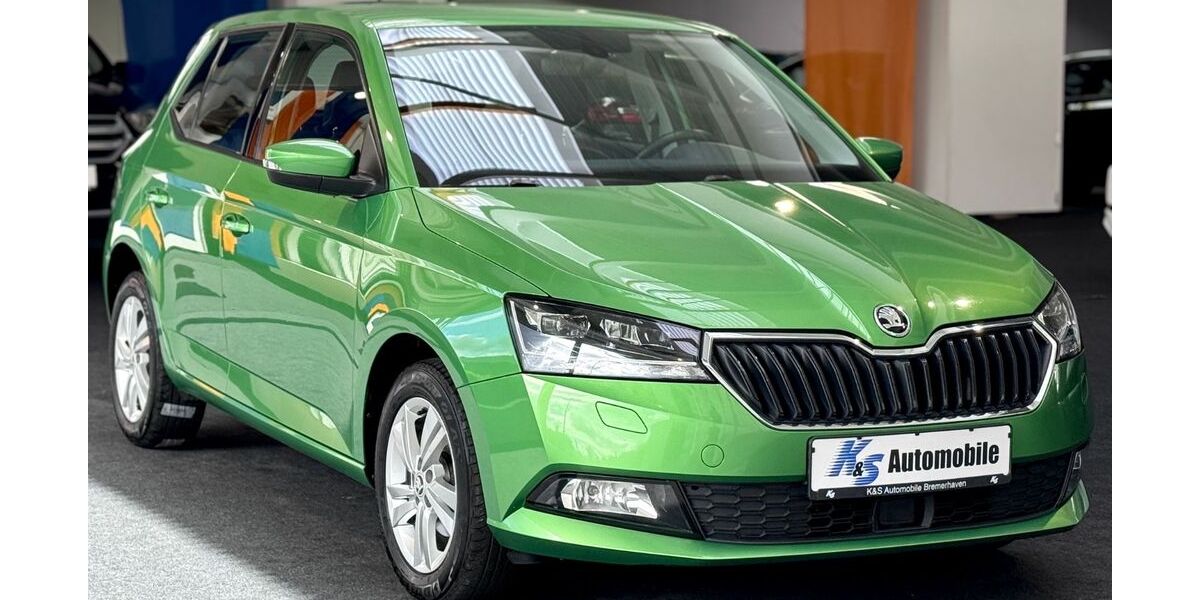 Skoda Fabia 84.000 km 10.999 &euro; Bremerhaven 27568