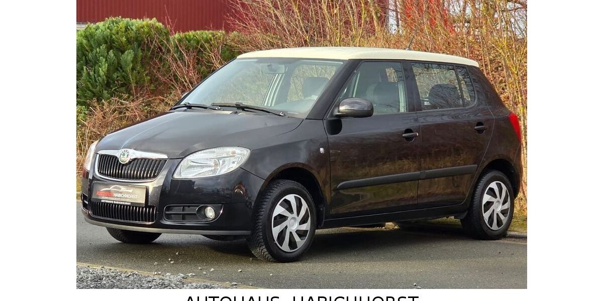 Skoda Fabia 104.000 km 5.490 &euro; Lüdersfeld 31702