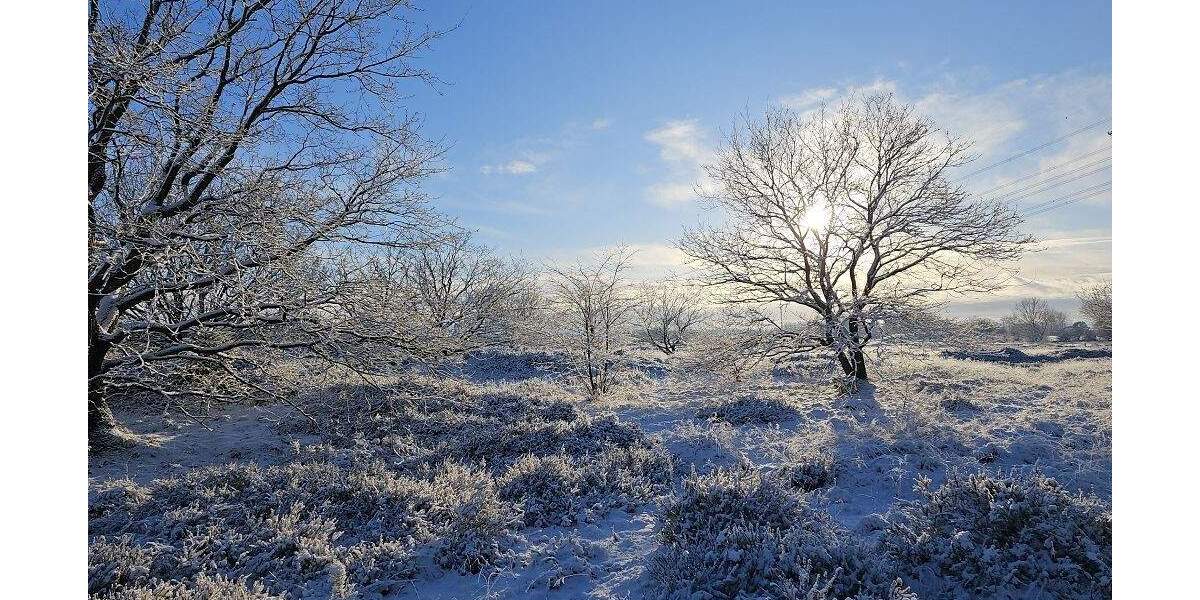 Bauernhaus, Landhaus Süderlügum - 5 Zimmer, 143 m&sup2;, 380.000&euro; | Angebot:25303075