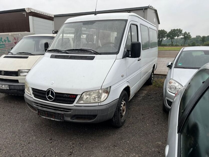 Sprinter