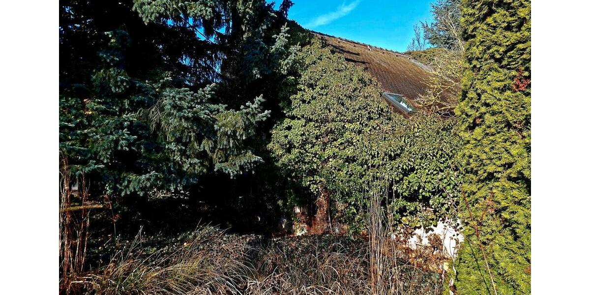 Einfamilienhaus Nobitz - 6 Zimmer, 150 m&sup2;, 40.000&euro; | Angebot:26104942