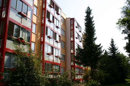 Wohnen auf Zeit in Zeitz 550 € 2 zimmer