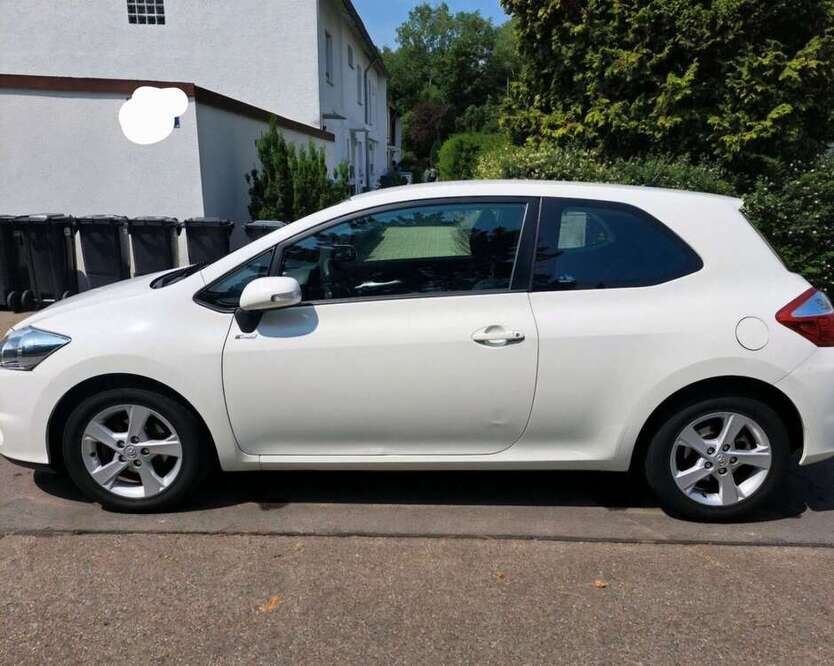Auris