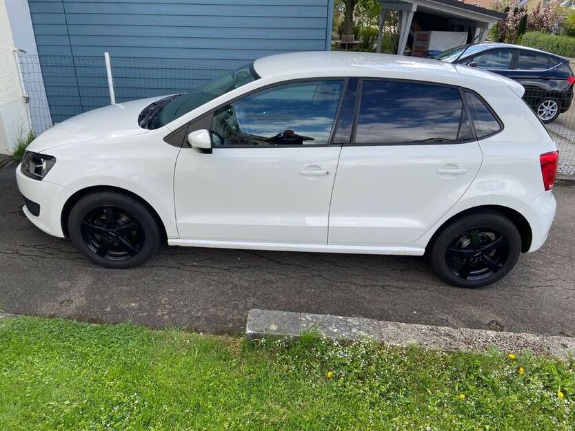 Polo