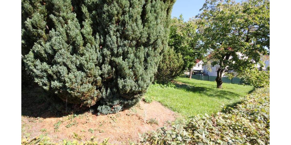 Grundstück Kusterdingen - 900.000&euro; | Angebot:26686767
