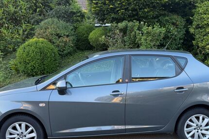 Seat Ibiza 93.400 km 8.000 &euro; Eutin 23701