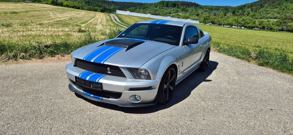 Mustang