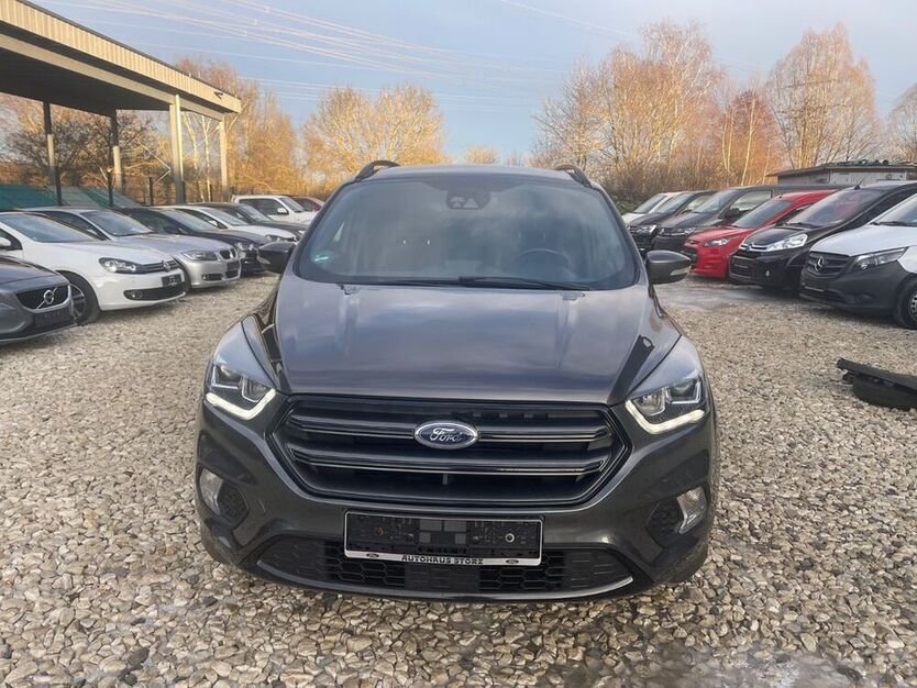 Kuga