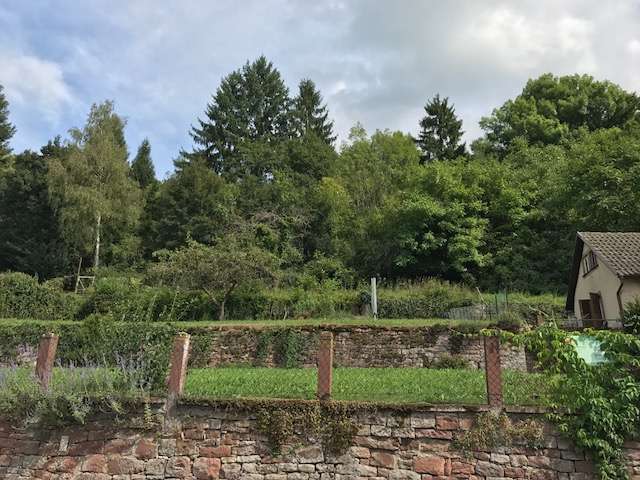 Grundstück zu verkaufen in Wertheim 99.000 € 979 m² zimmer