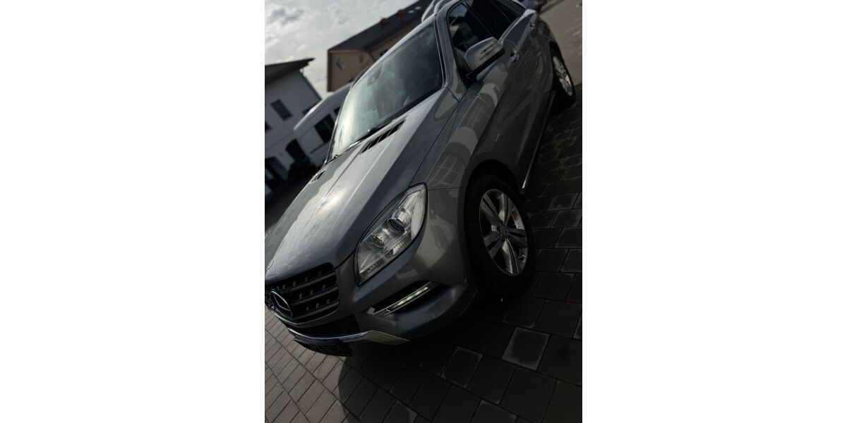 Mercedes-Benz ML 350 202.175 km 17.000 &euro; Altötting 84503