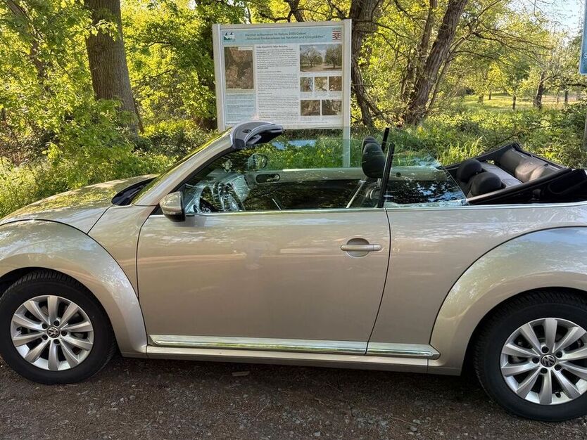 Beetle