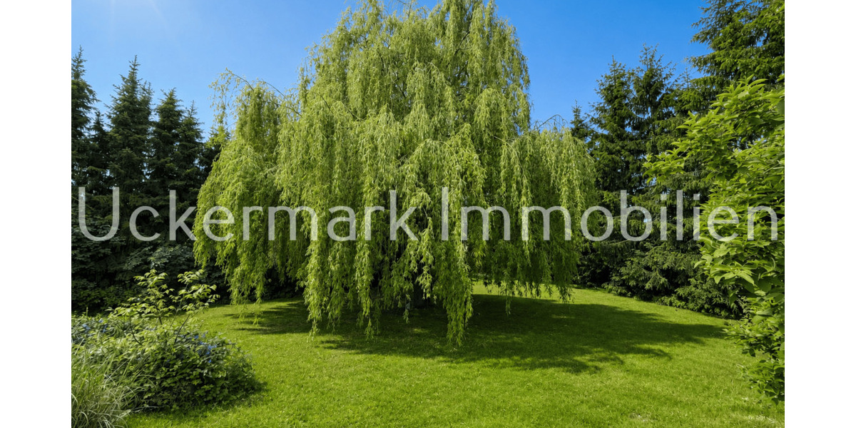Einfamilienhaus Woldegk Bredenfelde - 8 Zimmer, 220 m&sup2;, 369.000&euro; | Angebot:26788101