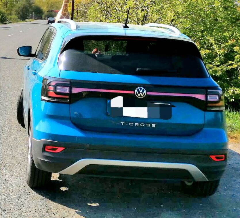 T-Cross
