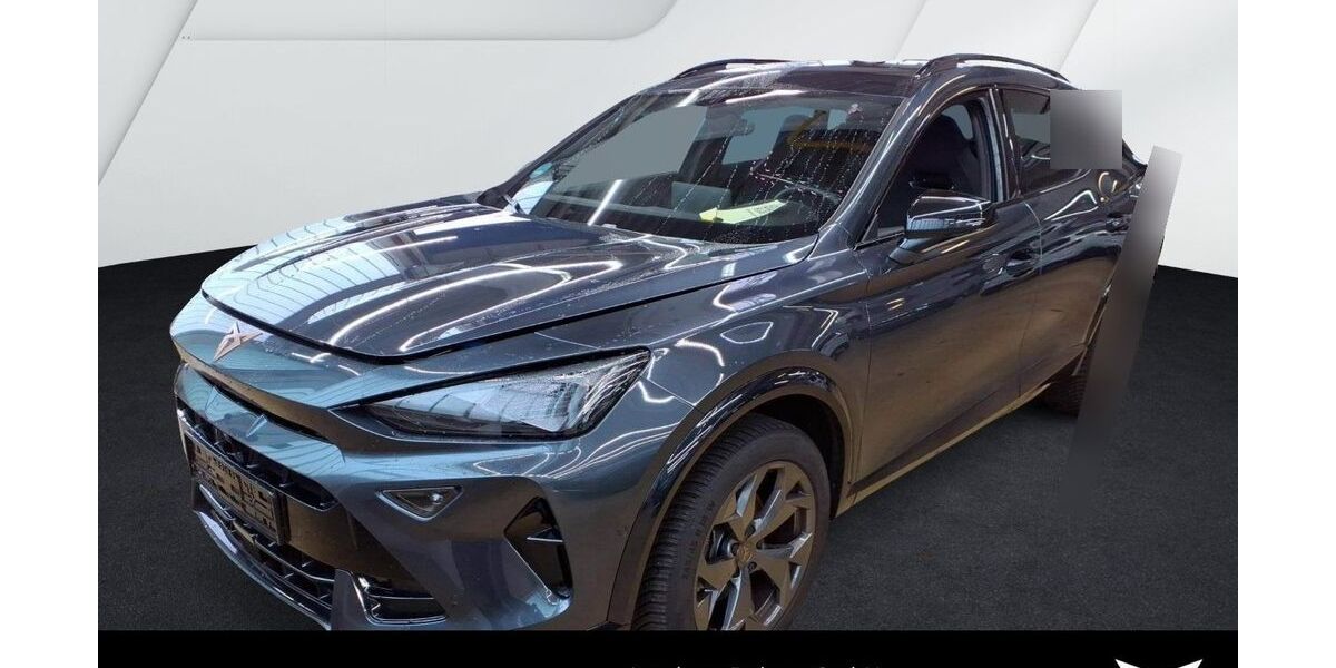 Cupra Formentor 13.800 km 30.480 &euro; Balingen 72336