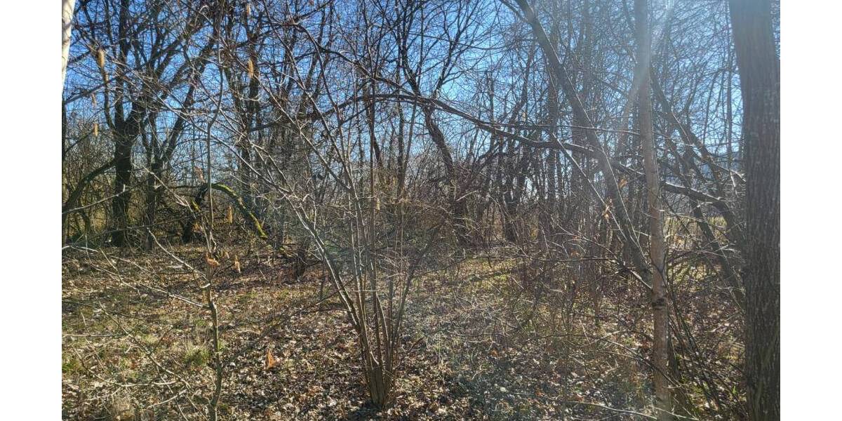 Grundstück Sonneberg Blechhammer - 24.000&euro; | Angebot:25985987