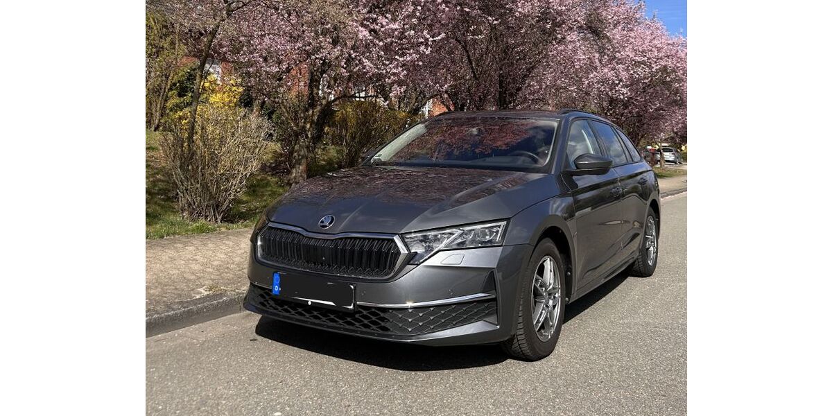 Skoda Octavia 32.000 km 29.400 &euro; Gifhorn 38518