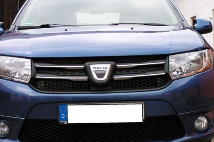 Dacia Sandero 172.500 km 3.950 &euro; Teunz 92552