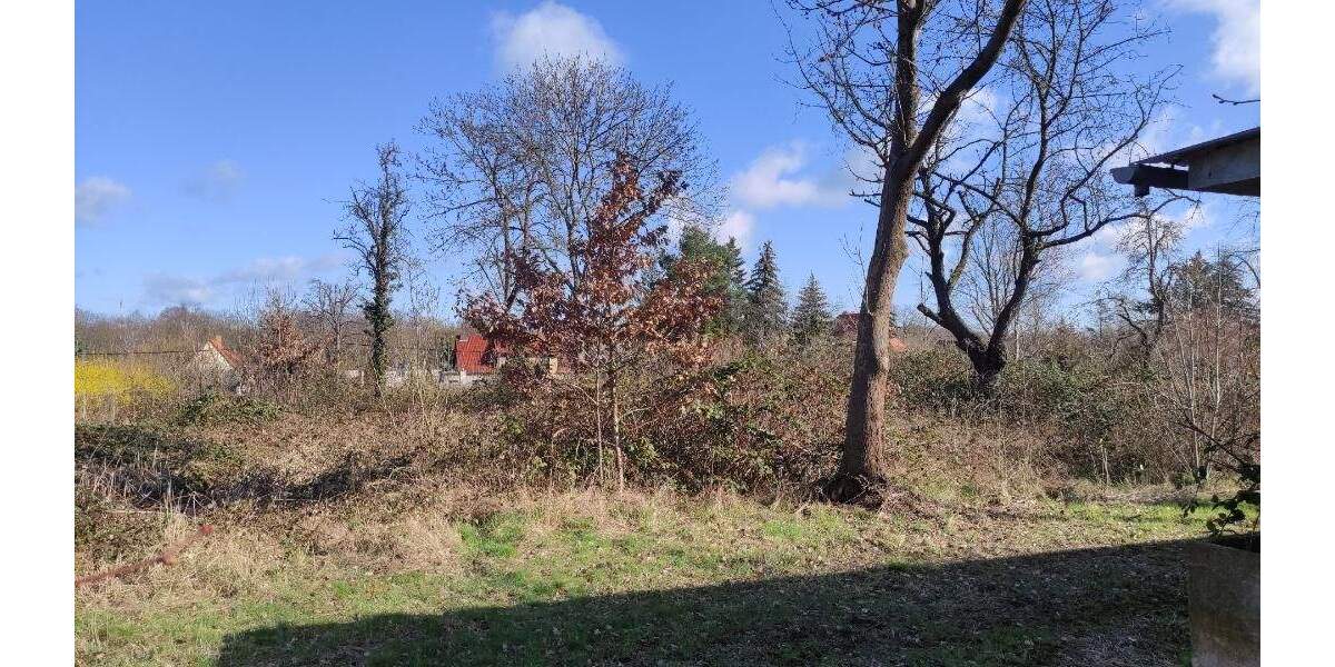 Grundstück Machern - 185.000&euro; | Angebot:24036204