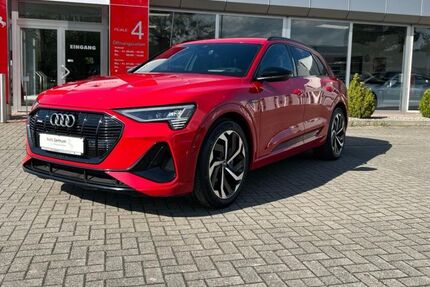Audi e-tron 65.000 km 33.970 &euro; Helmstedt 38350