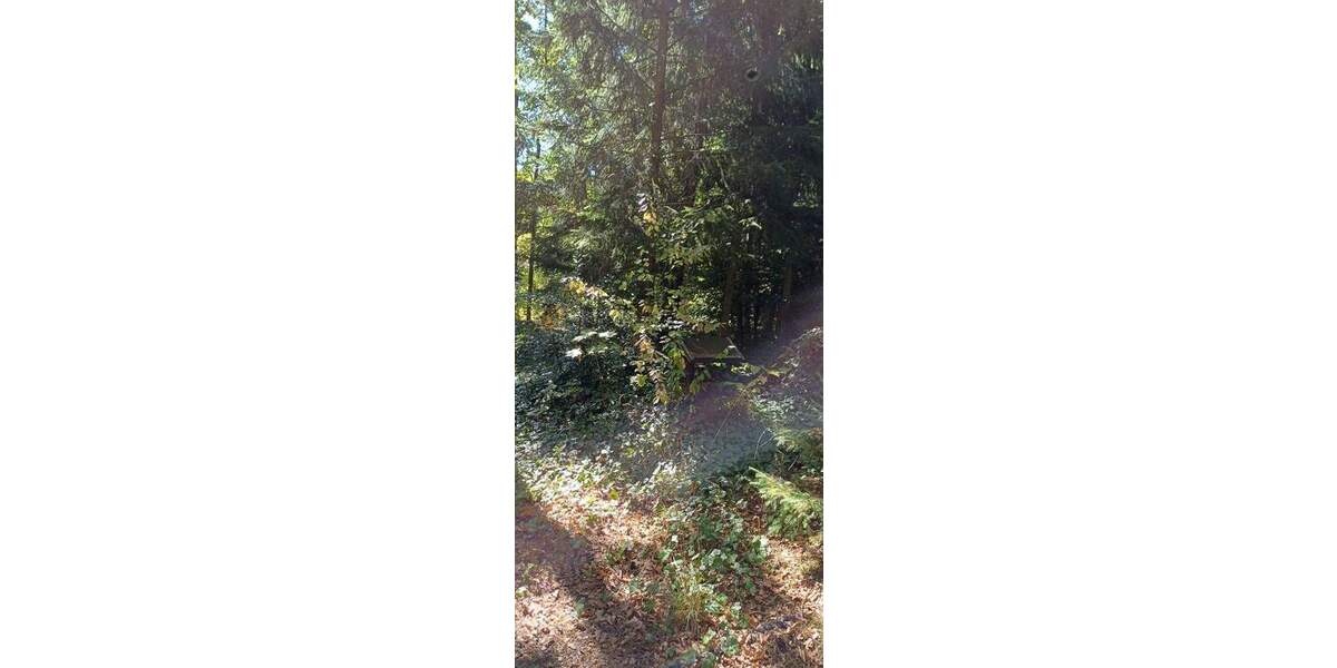 Grundstück Zeulenroda-Triebes Triebes - 39.500&euro; | Angebot:25688109