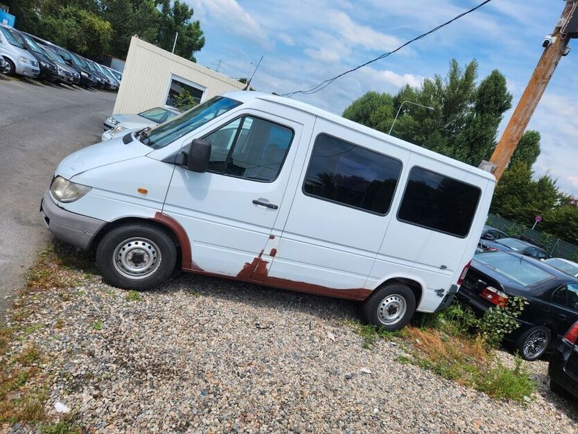 Sprinter