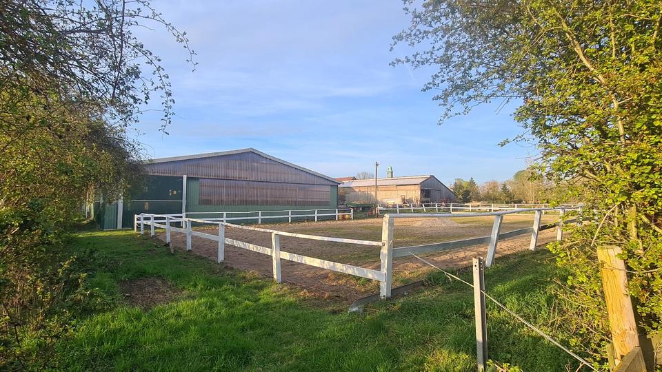 Mehrfamilienhaus, Wohnhaus Hohenhameln - 15 Zimmer, 450 m&sup2;, 1.300.000&euro; | Angebot:26409955
