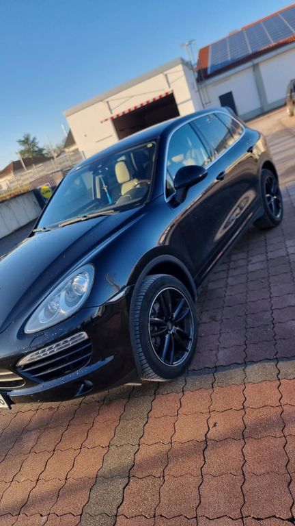 Cayenne