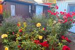 Bungalow Magdeburg Barleber See - 2 Zimmer, 40 m&sup2;, 75.000&euro; | Angebot:27121078