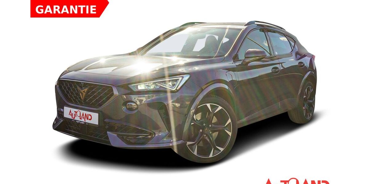 Cupra Formentor 40.160 km 29.950 &euro; Bautzen 02625