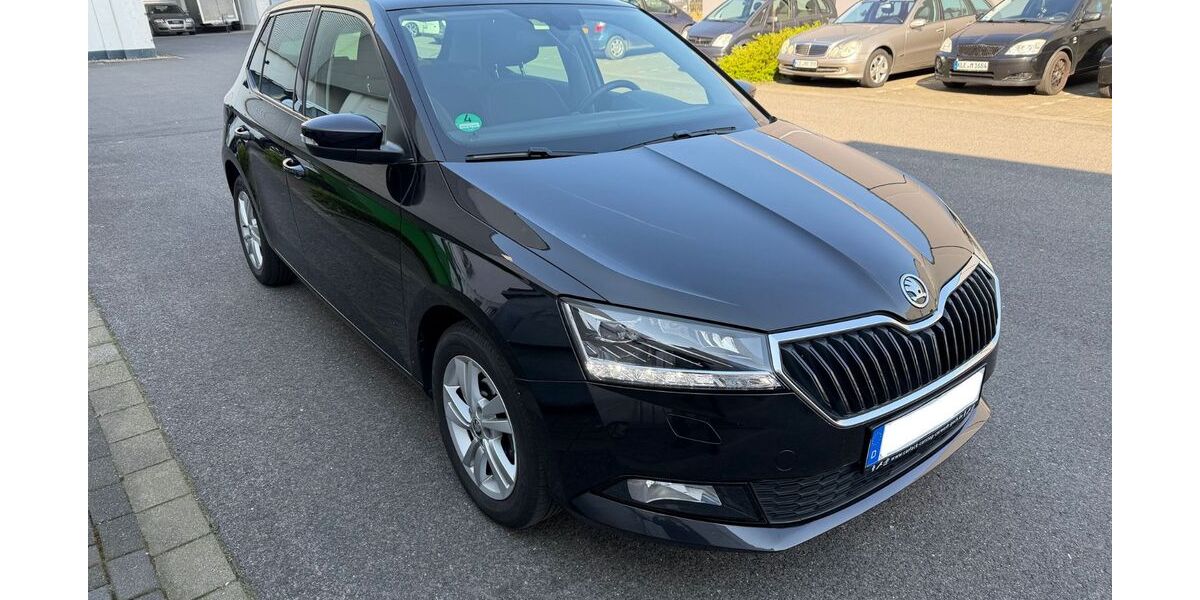 Skoda Fabia 95.900 km 11.900 &euro; Goch 47574