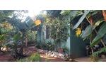 Ferienimmobilie Frankfurt am Main Sossenheim - 300&euro; | Angebot:26295388